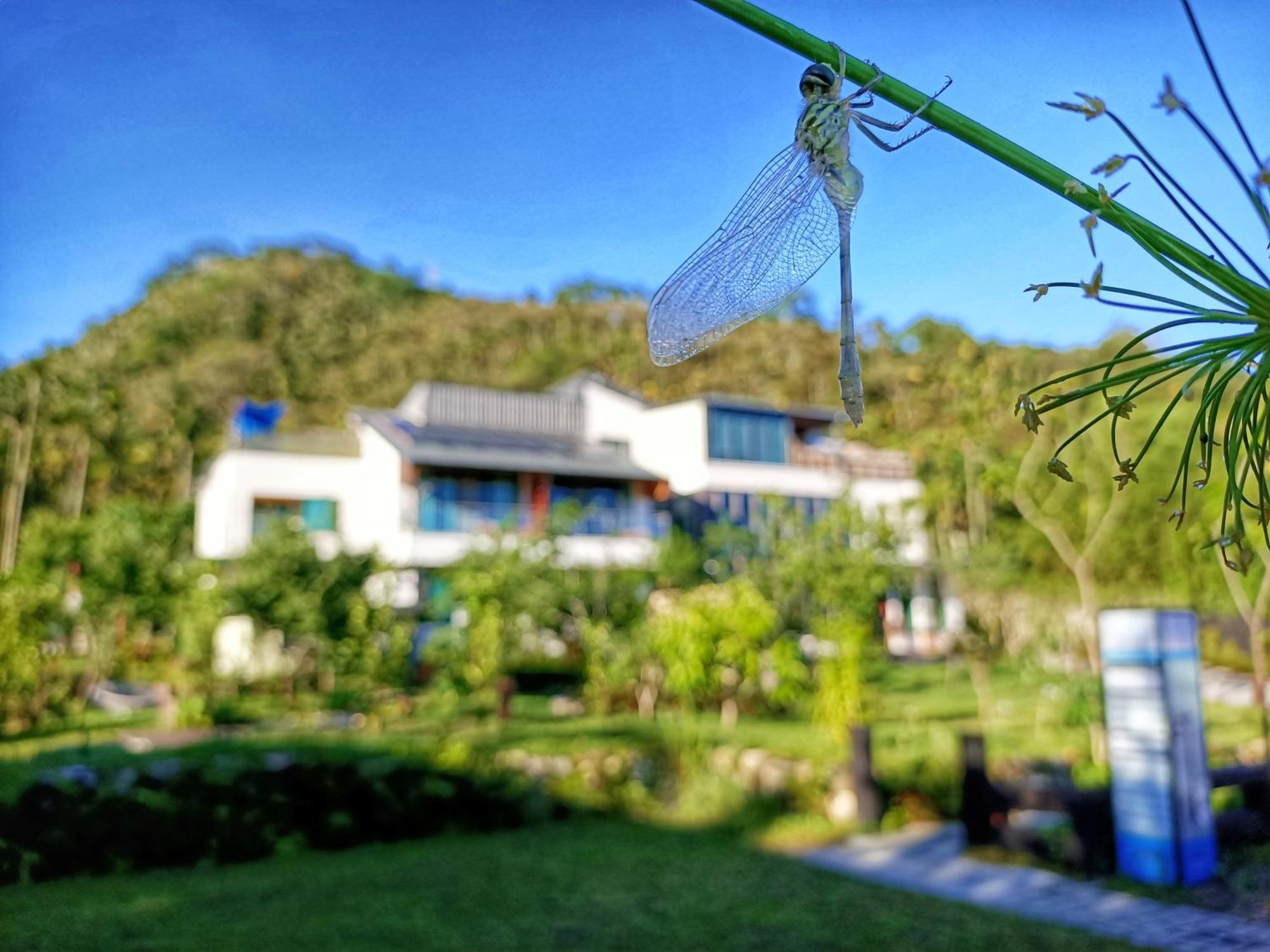 Roaming Cloud Sun Moon Lake B&B Yuchi Zewnętrze zdjęcie